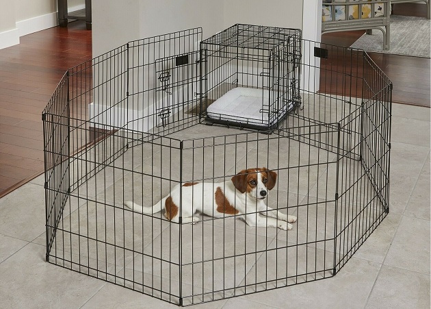 dog enclosure indoor